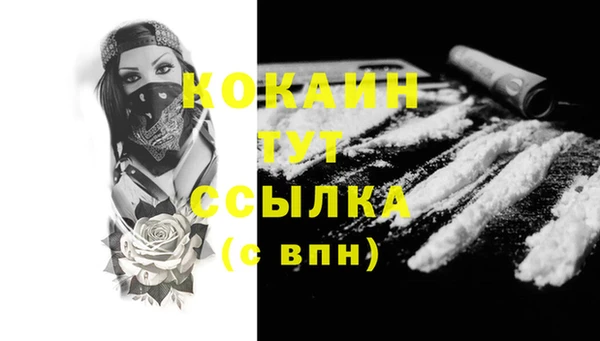 трава Абаза