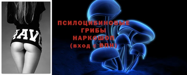 трава Абаза