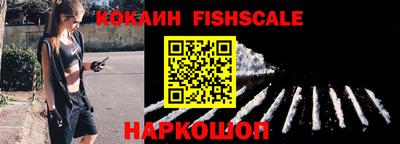 крисы Шелехов