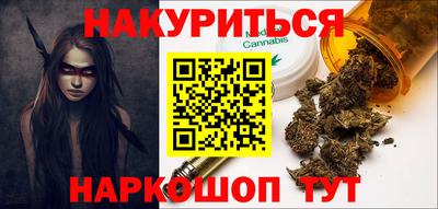 крисы Шелехов