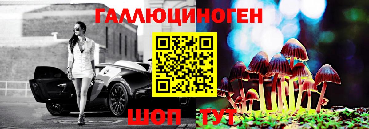 Псилоцибиновые грибы мицелий  Вход с VPN  купить наркотики цена  Астрахань 